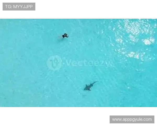 PG电子游艺游戏种类丰富多样满足不同玩家的多样化娱乐需求